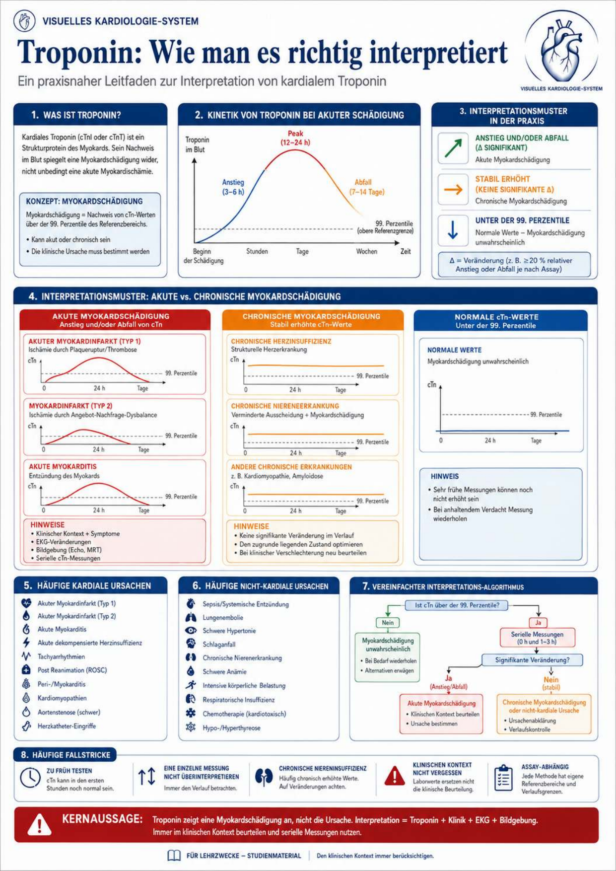 Synkope: Kardial × Vasovagal × Orthostatisch