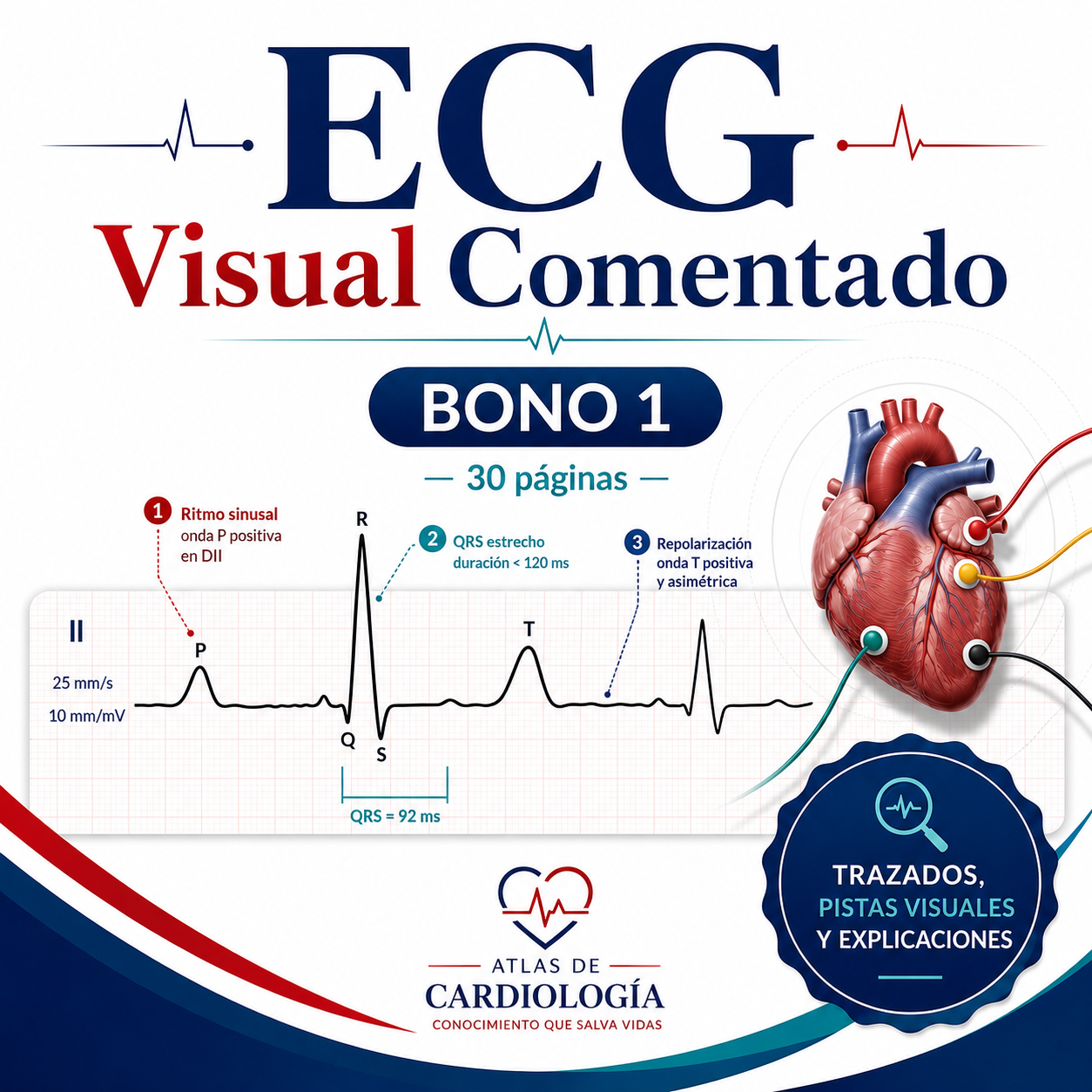 Visueller EKG-Leitfaden